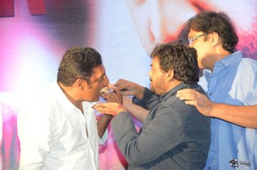 Temper Movie Success Meet